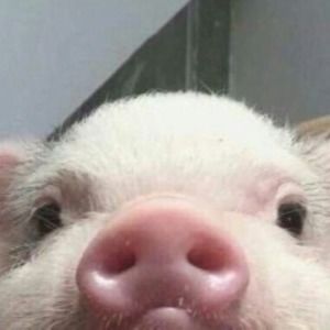 Meet your Posher, Bryana